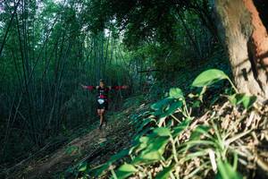 BIB: 
                            <button type="button" onclick="openModal(28124239)" class="btn btn-primary btn-sm float-right btn-popup" data-toggle="modal" data-target=".modal-high-quality">
                        <i class="fas fa-shopping-cart"></i> Add to Cart
                    </button>
                                            <button type="button" onclick="isThisMe(28124239, true)" class="btn btn-success btn-sm float-right btn-popup btn-isme hidden" data-toggle="tooltip" data-placement="bottom" title="นี่คือรูปของคุณใช่ไหม คลิกที่นี่เพื่อเอาเข้าอัลบั้ม">
                        <i class="fas fa-plus"></i> Add to album
                    </button>
                    <button type="button" onclick="isThisMe(28124239, false)" class="btn btn-warning btn-sm float-right btn-popup btn-isnotme hidden">
                        <i class="fas fa-ban"></i> Remove from album
                    </button>